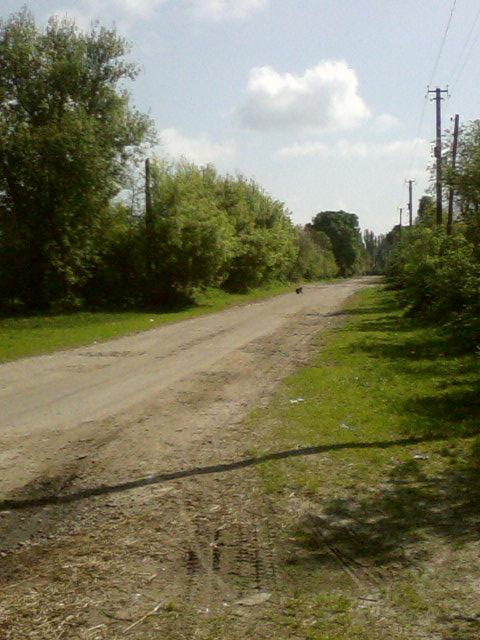 Вітоніж1 - Вітоніж