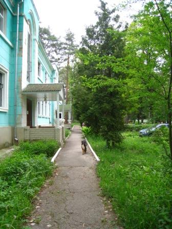 Поїзди гудуть за Ірпінню... - Ірпінь