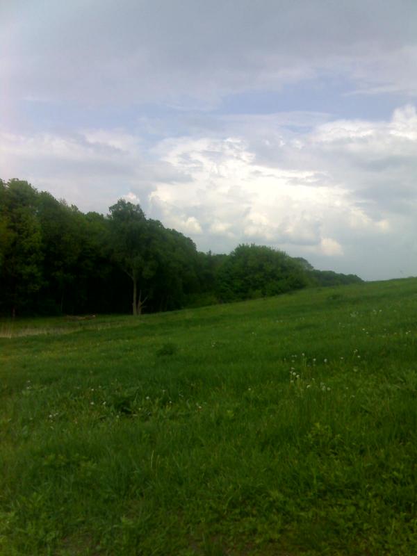 Моє село - Козельне