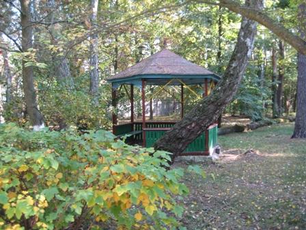 місто Ірпінь - Ірпінь