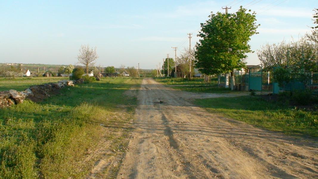 ПАВЛИНКА - Павлинка