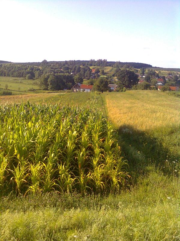 Явче-пирода - Явче