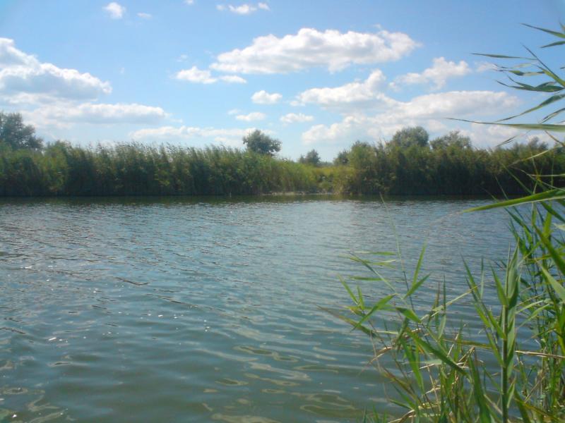 Природа села - Еристовка