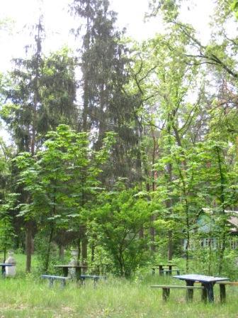 Поїзди гудуть за Ірпінню... - Ірпінь