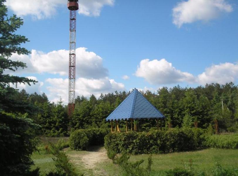 Біловізьке лісництво - Беловеж