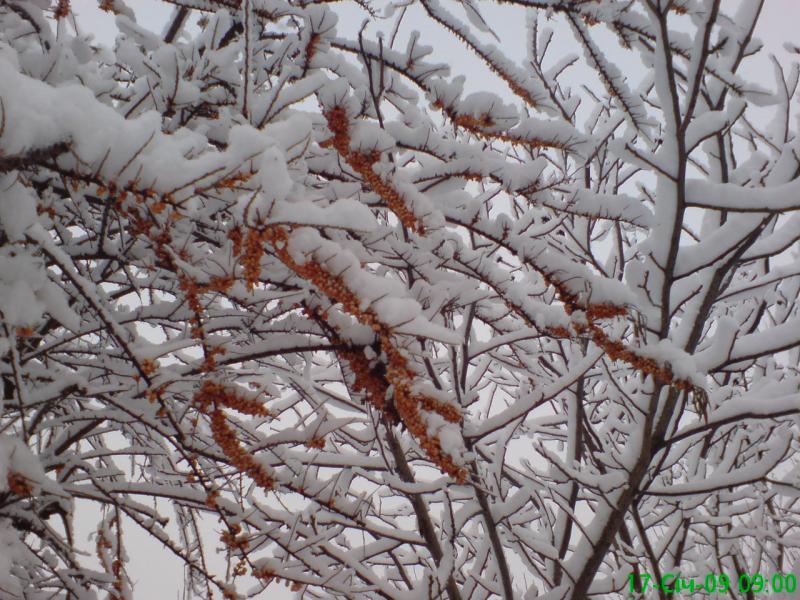 Краєвиди Миргорода - Миргород