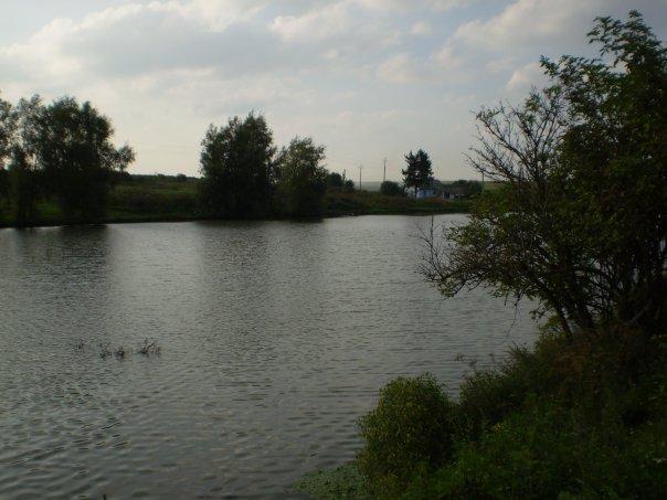 Photo - Малі Дорогостаї