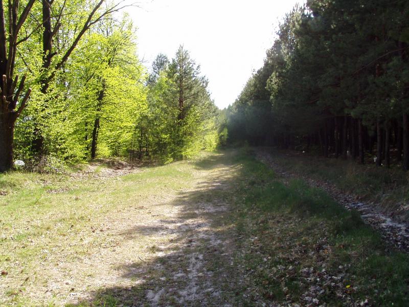 Польське село в Поліссі - Станіславівка