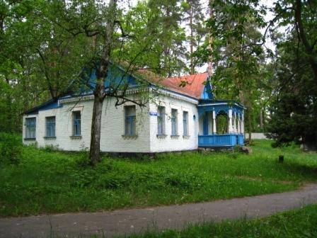 Поїзди гудуть за Ірпінню... - Ірпінь