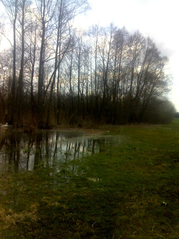 Моє село - Козельне