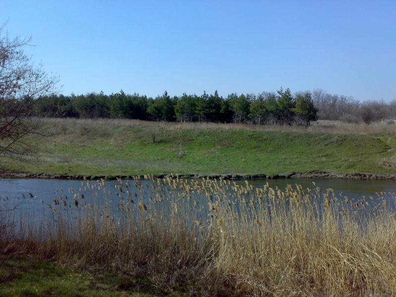 Наша природа - Великомихайлівка