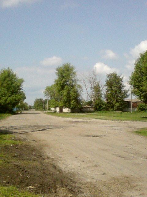 Вітоніж1 - Вітоніж