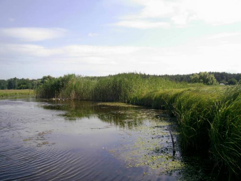 Чорбівські краєвиди - Чорбівка