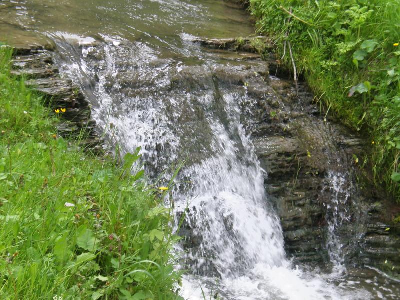 Краєвиди с.Бітля - Битля