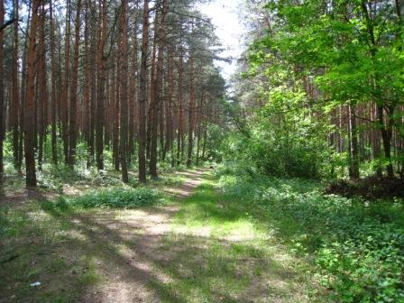 Поїзди гудуть за Ірпінню... - Ірпінь