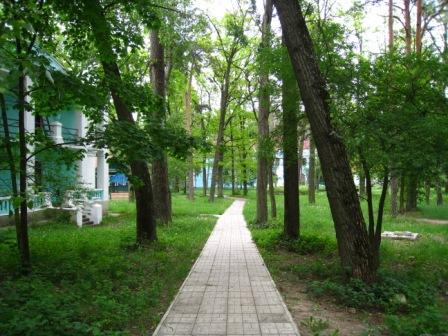 Поїзди гудуть за Ірпінню... - Ірпінь