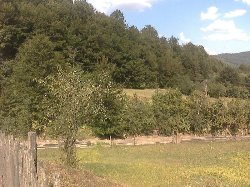 Чудові краєвиди Козаківки - Козаківка