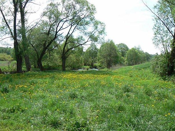 красичка - Красичка