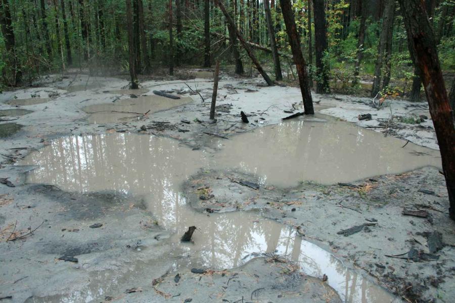 Наслідки добування бурштину - Grytsky