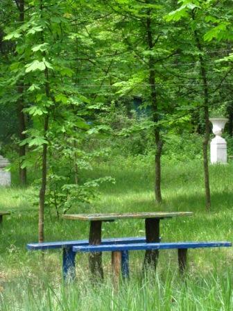 Поїзди гудуть за Ірпінню... - Ірпінь