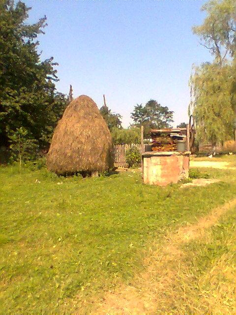  Життя села - Парище