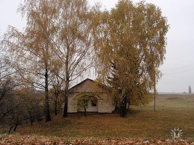 Родное село - Москаленки