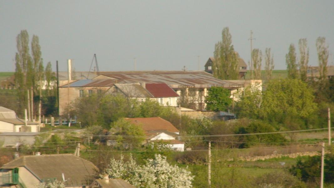 ПАВЛИНКА - Павлинка