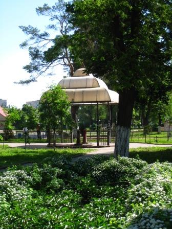 місто Ірпінь - Ірпінь