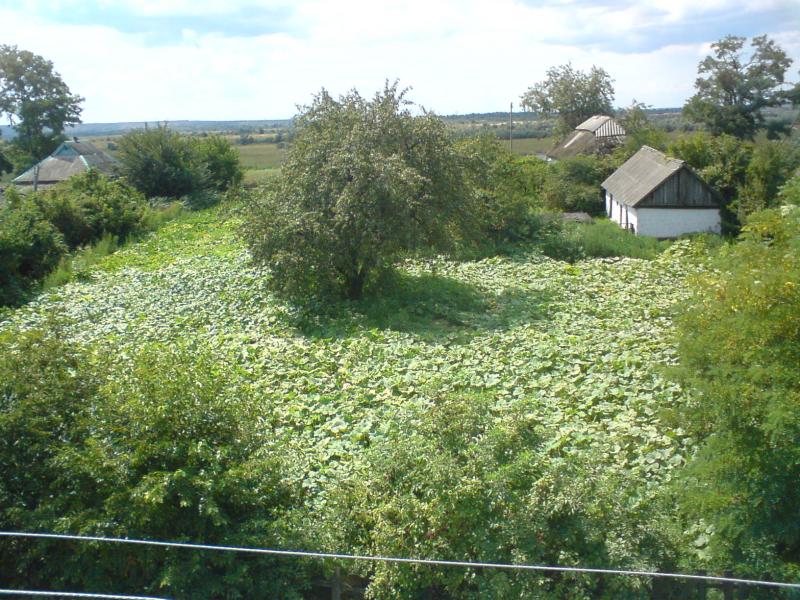 Природа села - Еристовка