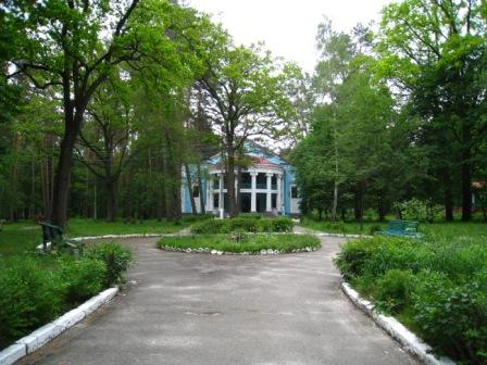 Поїзди гудуть за Ірпінню... - Ірпінь