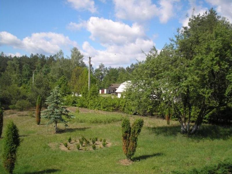 Біловізьке лісництво - Беловеж