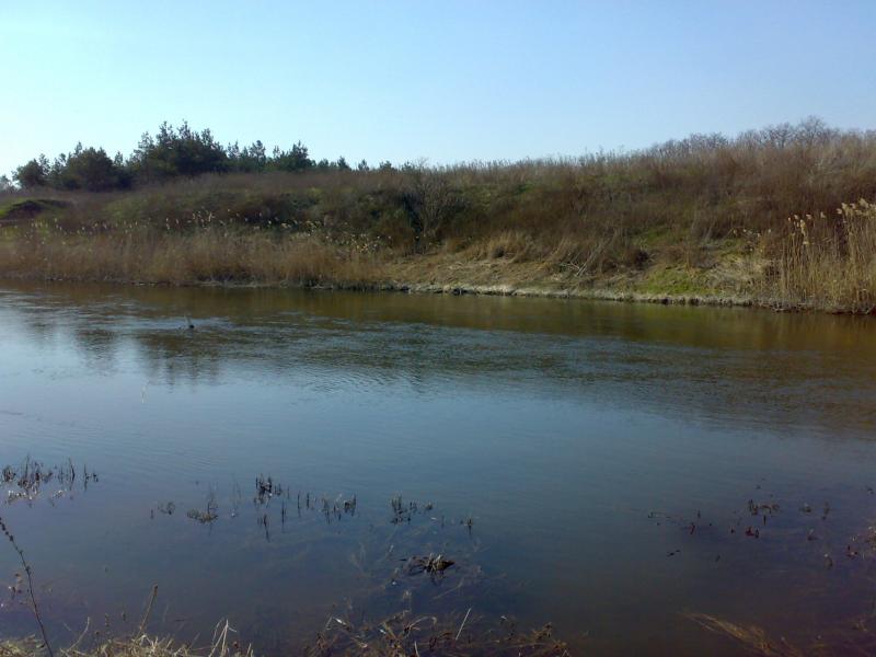 Наша природа - Великомихайлівка