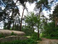 Поїзди гудуть за Ірпінню...