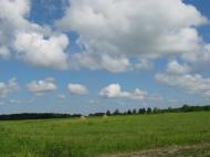 Мальовничі куточки села Бровки