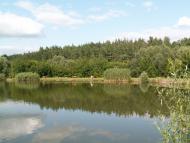 Лузанівські краєвиди