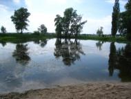 Поїзди гудуть за Ірпінню...