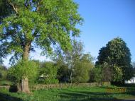 Высший Булатец