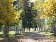 Селятинська ЗОШ-інтернат І-ІІІст.