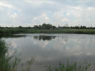 село Різдвянка