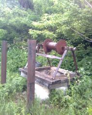 Родная Басовка