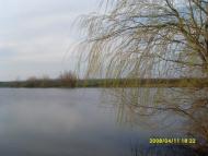 Купіль - Останні фото