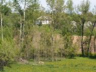 Лузанівські краєвиди