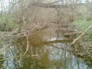 природа Орловця