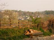 Великий Олександрів - Останні фото