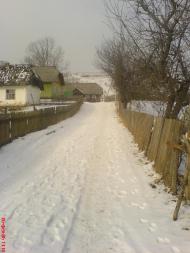 Мы тут родились