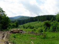 Банилів-Підгірний - родзинка прикарпаття