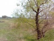 Нововоскресенське, Нововоронцовський Район