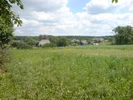 Поездка к бабушке