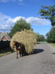 Высший Булатец
