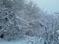 Купіль - Останні фото